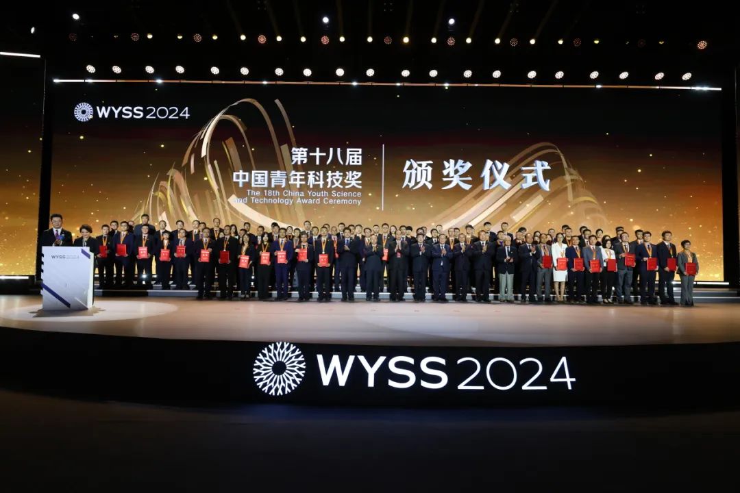 p13.jpg